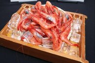 食味を見える化「おいしさＤＸ」新潟市で着々！県産ナンバンエビは「ねっとり食感」実証販売本格化