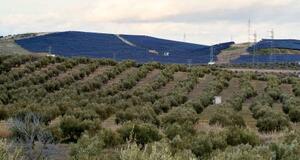 　スペイン・アンダルシア自治州ハエン近郊で、オリーブ畑の広がる地域に設置された太陽光パネル＝１月２４日（共同）