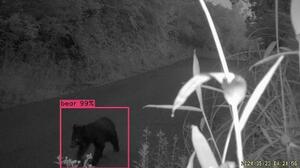 カメラの画像から人工知能(AI)がクマを検知する様子=石川県小松市(小松市提供)