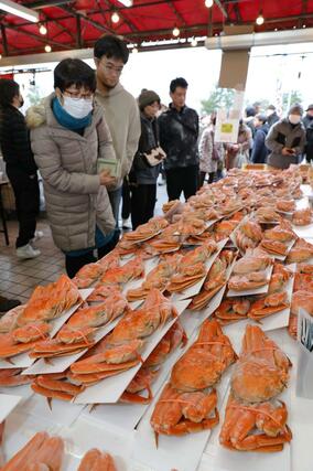 店頭に並んだカニを品定めする買い物客=12月30日、長岡市寺泊下荒町の「市場通り 金八」