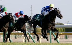 　第６０回共同通信杯を制したリアライズシリウス（右）＝東京競馬場