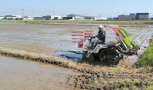 田植えが行われるJA新潟かがやき近くの水田=13日、新潟市西蒲区