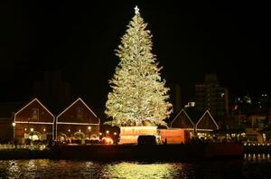 北海道函館市の赤レンガ倉庫前で点灯された巨大クリスマスツリー=29日夜