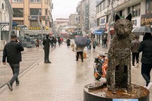 　トルコ東部ワン中心部の歩道＝３月（共同）