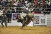 7月、米テキサス州ダラスのロデオ大会で「ブルライディング」に出場した男性選手(撮影・鍋島明子、共同)