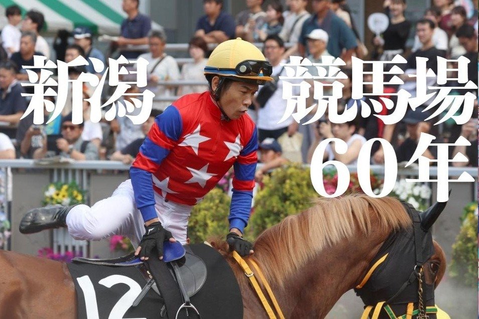 競馬2着馬物語 全日本2歳優駿】小野「若干ブレーキがかかった」門別ソルジャー