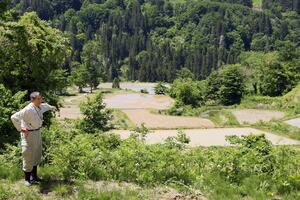 降水量が少なく乾いた天水田=5月18日、十日町市