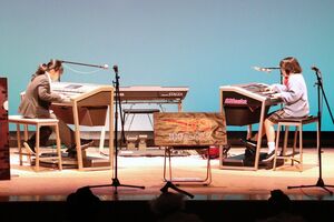 仮装をした演奏者がエレクトーンを披露したイベント=柏崎市駅前2