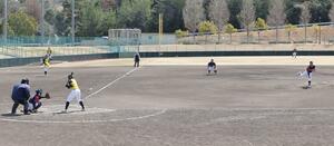 ＤＨ制を採用して行われた帝京長岡の練習試合＝兵庫県三木市