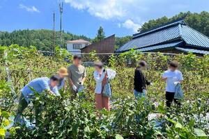 　２０２５年、長野県信濃町で開かれた移住婚のイベント。野菜の収穫体験をしている（日本婚活支援協会提供、提供元が画像の一部を加工しています）