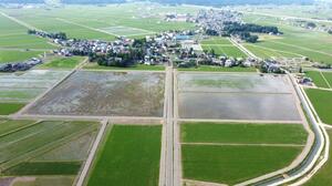 大規模化の工事が完了した高野地区のほ場=上越市板倉区