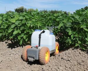 枝豆畑を進む除草剤散布ロボット=弥彦村