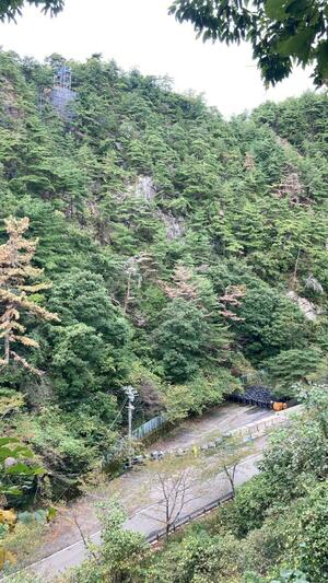 落石対策の工事が進められている「史跡佐渡金山」第2駐車場付近=佐渡市相川地区(県佐渡地域振興局提供)
