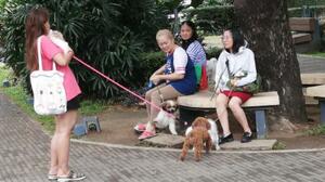 フィリピンで着実に広がりつつある愛犬家