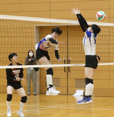 バレーボール 女子決勝は長岡商ｖｓ新潟中央 新潟日報デジタルプラス