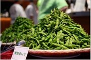 「世界えだまめ早食い選手権」今年も東京予選やります♪目指せ！アオーレ長岡