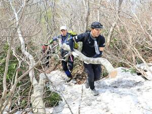 登山道の倒木を取り除く山岳遭難防止対策協議会のメンバーら＝２０日、阿賀野市の五頭連峰