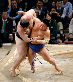 　藤ノ川（右）が寄り切りで獅司を破る＝福岡国際センター