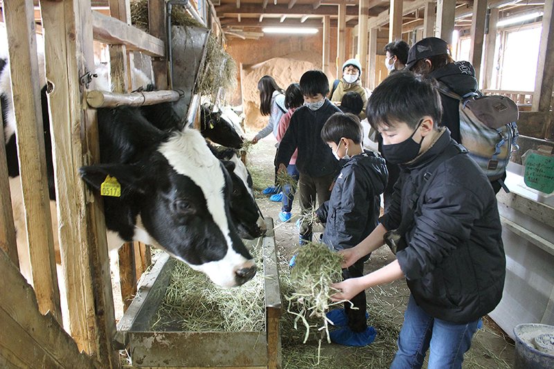 かぞくでｇｏ 神田酪農 阿賀野 親子で餌やり体験 搾りたて牛乳やジェラートも人気 新潟日報デジタルプラス