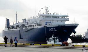 　今年の操業を終え、下関港に帰港した「関鯨丸」＝２日午前、山口県下関市