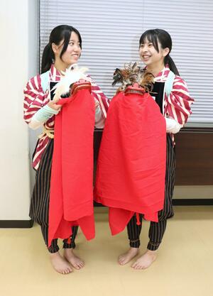 「つらいことはなくて楽しかった」と笑顔で12年間を振り返る櫻井和花さん(右)、田中未知さん=新潟市南区西萱場
