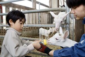 生まれて間もない子ヤギにミルクを与えたイベント=26日、新潟市南区東笠巻新田