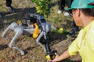 収穫の実証作業で、農家の男性からレモンを手渡される犬型ロボット=14日、岡山県浅口市