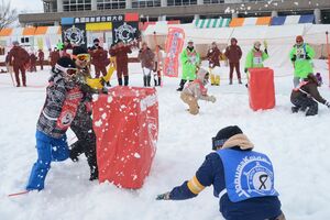 新潟県内外のチームが熱戦を繰り広げた「魚沼国際雪合戦大会」=2月11日、魚沼市干溝