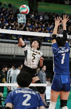 長岡商-金蘭会(大阪) スパイクを打つ主将の加納理美=東京体育館