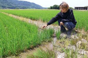 水田の様子を見る河村光さん。「先祖代々、農地と景観を守ってきた」と語る＝新潟市西蒲区