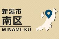 新潟市南区の国道8号で店舗の塀などに衝突…新発田市の男性死亡、代行業務で顧客の車運転