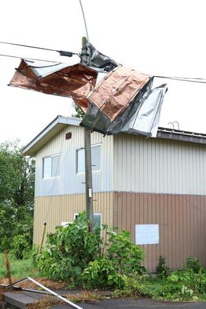 突風で屋根が覆い被さった電柱=11日、上越市三和区今保