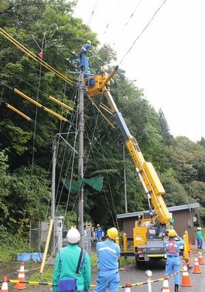 訓練で電線移設に取り組む作業員=佐渡市小倉
