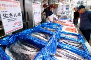 東京都品川区の鮮魚店「中與(なかよ)商店」に並ぶサンマ。今年のサンマ漁は昨年の2倍を超える水準で好調な水揚げが続き、記録的な不漁だった2022年の年間総量の1万8千トンを既に上回った=25日午前