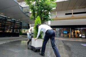台風6号接近に備え、植木を移動させるホテルの従業員=2日午前、鹿児島市