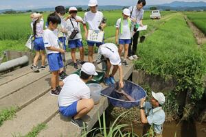 生き物の調査をする旭小学校の児童=三条市須戸新田