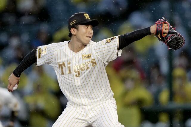 ヤクルト戦に先発した阪神・茨木＝甲子園