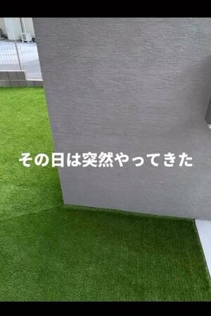 念願のマイホームに入居して3ヵ月。綺麗な人工芝の庭に…？（写真提供@hami__sumirin_house）