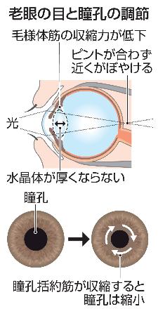 　老眼の目と瞳孔の調節