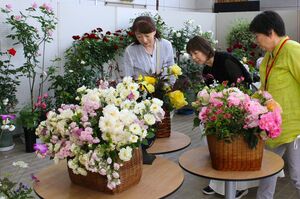 愛好家が丹精した鉢植えやアレンジメントが並んだ「春のバラ展」=三条市下保内