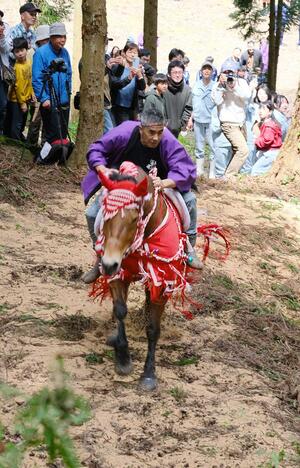 馬が急斜面を疾走する「駆け上がり」＝１８日、胎内市下赤谷