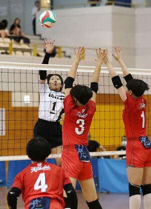 女子決勝 Glitter-福井工大福井 スパイクを打つ吉田桃花=長岡市