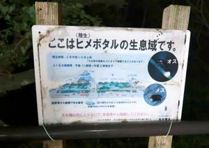 名古屋城の外堀付近に設置されたヒメボタルに関する看板