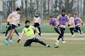東京V戦に向けて練習するJ1アルビレックス新潟の選手=聖籠町のアルビレッジ