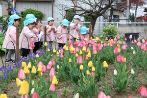 緑豊かな園庭で自然に触れる長生保育園の児童たち＝長岡市西千手３