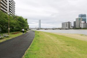 信濃川左岸のやすらぎ堤。ミズベリングの一環で短期間のイベントなどで利用できる=7月1日、新潟市中央区