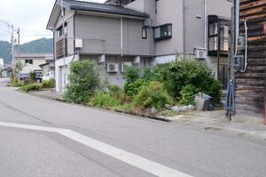 男性がクマに襲われたとみられる付近=8月16日、南魚沼市山谷