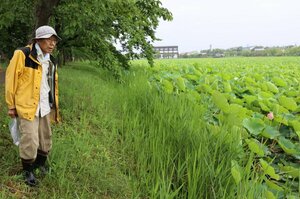 高田城址公園のハスの花数を数える「調べる会」代表の吉越正勝さん=上越市