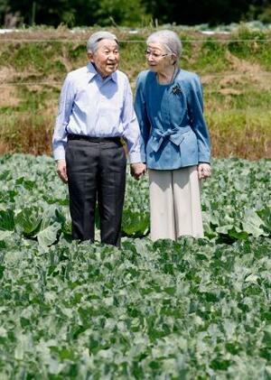 大日向開拓地のキャベツ畑を散策される上皇ご夫妻=23日午前、長野県軽井沢町