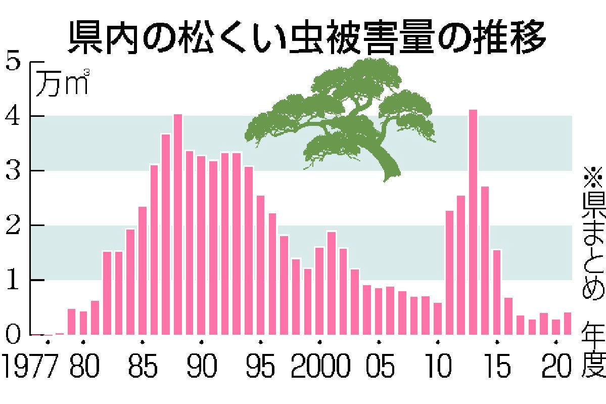 松くい虫被害41 増 新潟県内21年度 新潟日報デジタルプラス